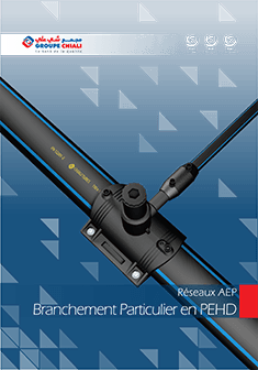 Branchement Particulier  </br> en PEHD